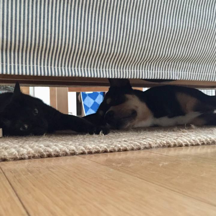 2eaf466a 5d67 46e0 8876 a1055c921a6a 1530890039193