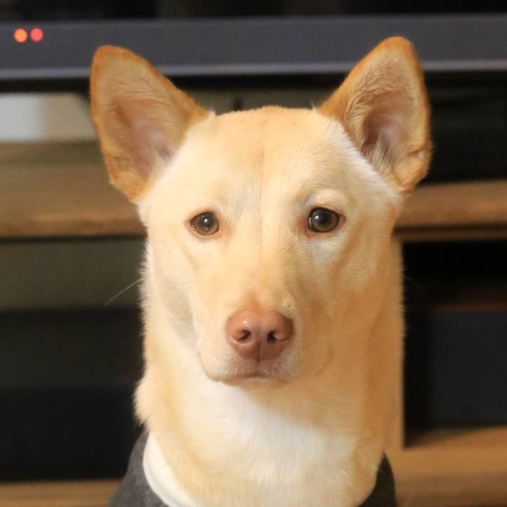 2eaf6b27 6339 4944 b900 b88526202435 1515681288538