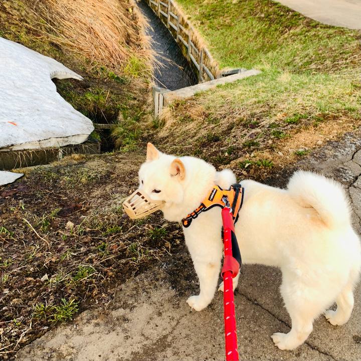 2eafad9e 9fde 4d07 bb2f a6a780eb6ce1 1649627694263