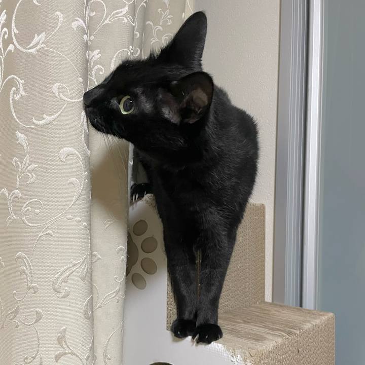 2eafae0f 18ba 478b a6af 2469636da9a8 1735044366197