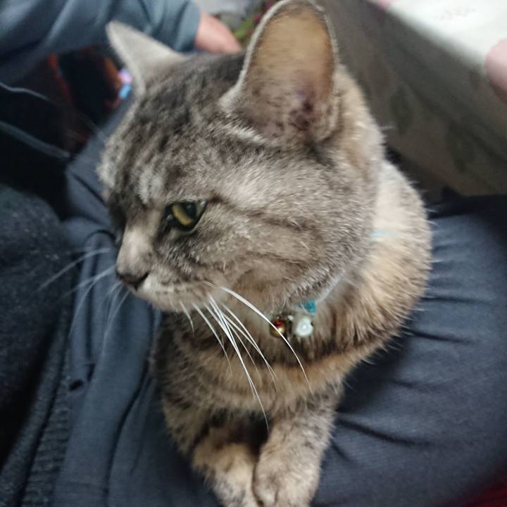 2eafdb0c fef4 4e21 b115 541af29de5c4 1554068907309