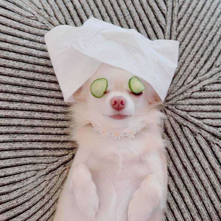 2eafe5b3 3f47 4414 9bcf 7a2a251384b1 1694338464388