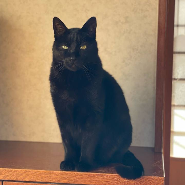 2eafe95b f50c 4d53 a9b7 07d10776b91b 1723865730427