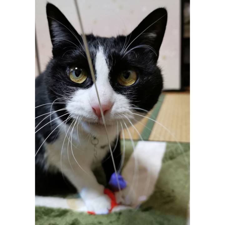 2eafeb9b cfec 463e 8fe0 c4bce17c116e 1616730841566