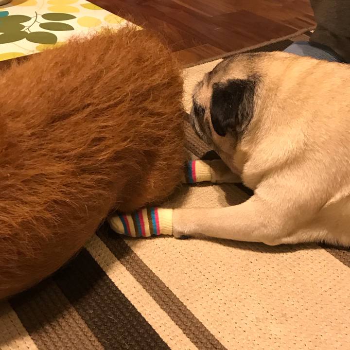 2eaff327 e64f 4543 a8d4 c6a35a20b027 1604238507650