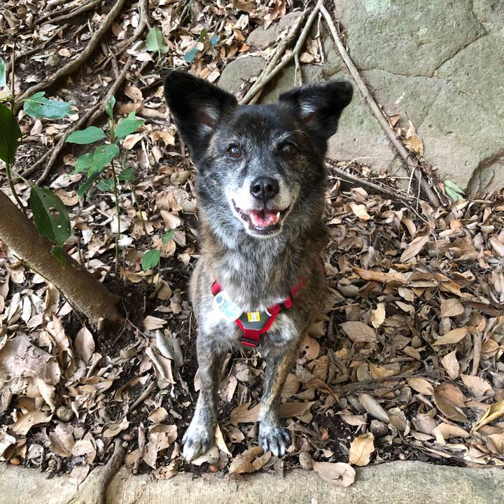 2eb002a4 175c 48d7 9270 a93a6279a738 1642081618030