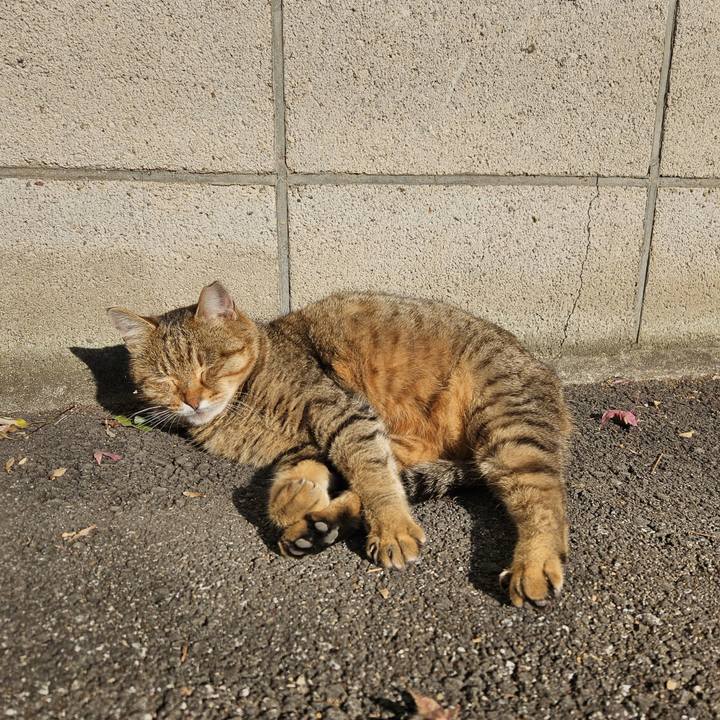 2eb02a31 67d4 46f4 9056 35e1ddf36f92 1703469900808