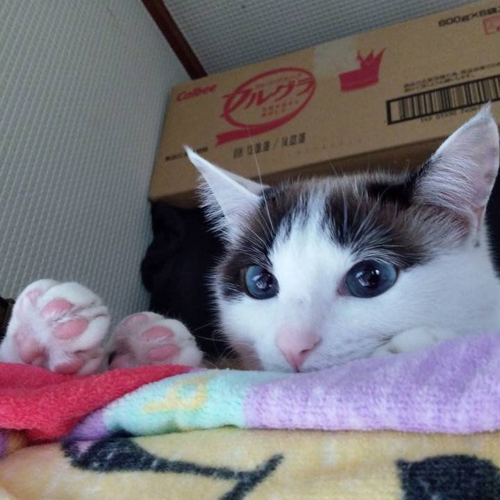 2eb0385c 5669 48bc a63b 62e33673760c 1550620720942