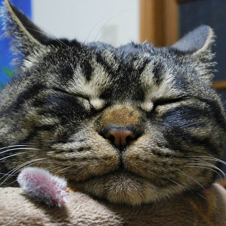 2eb03ae8 1098 4bc1 bdf1 1bc38cf4a504 1519234180650