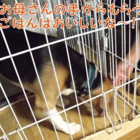 2eb04924 e22f 4490 84d0 d8a132638ee8 1695341604987