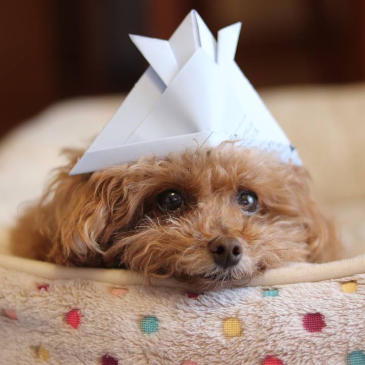 2eb04f8c b9b6 4958 a857 d375c1397cae 1557021462803