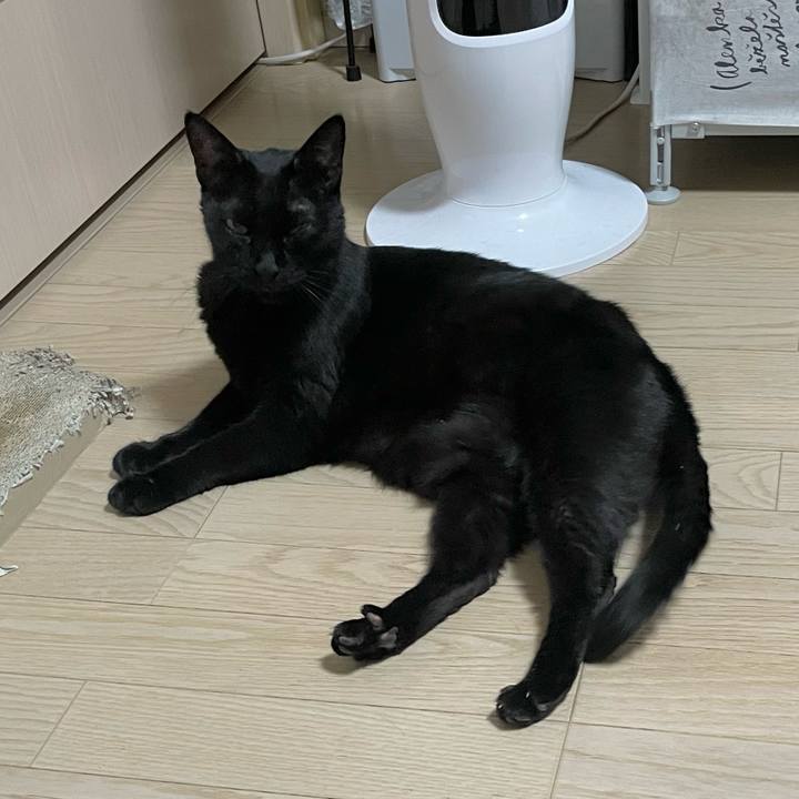 2eb04fd2 b6c0 4866 94dc 94776f8a7481 1756300813175