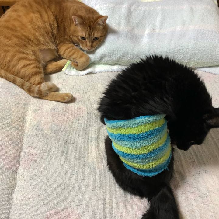 2eb09bd2 c089 478d a914 224ed308a4a3 1607635742736