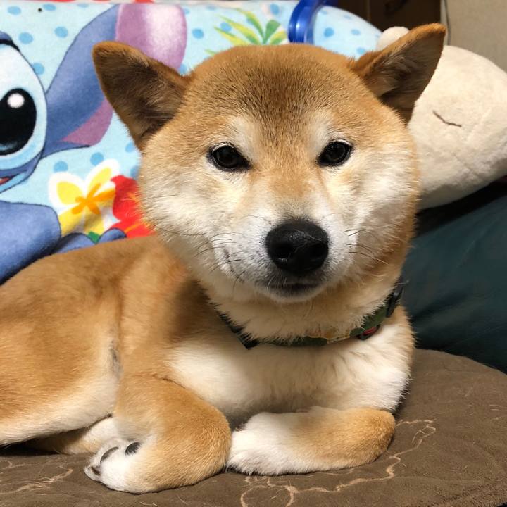 2eb0f3e1 51f6 4a1c 9ea1 ff29fa308470 1525683234658