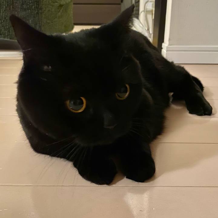 2eb13216 aa6a 4b8a b90b 20e767c49d43 1639571107887