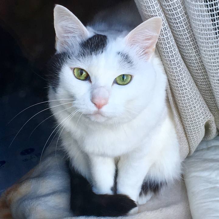 2eb1411f 456a 4a29 b523 1fa275305023 1557614849711