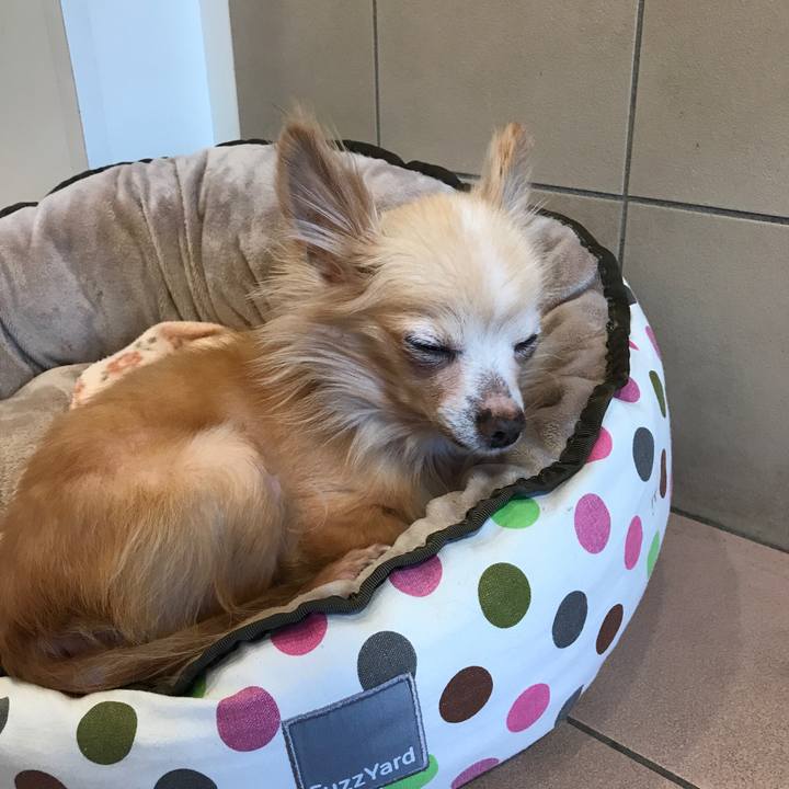 2eb14320 cf5f 4b87 8b79 125070a4f5e6 1513053518774