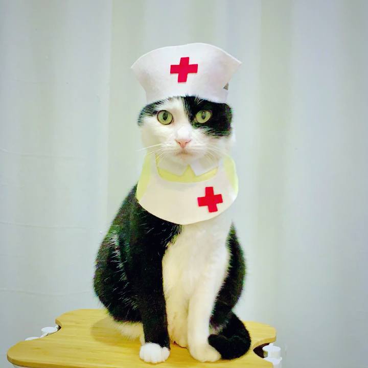 2eb17fc2 f939 4415 81fa 4bda2f6d1a5a 1629848410878