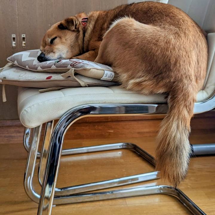 2eb1822b 9a7d 426a a529 37c0ca47c6e0 1686487925420