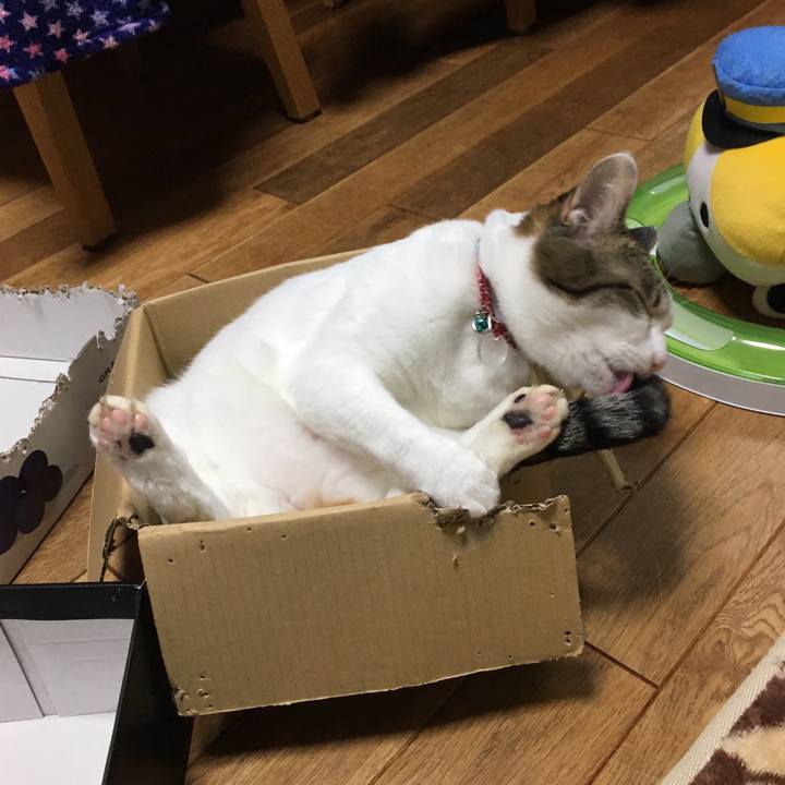 2eb183b3 e23d 4c25 bbdc a51714ff5e43 1512739003922