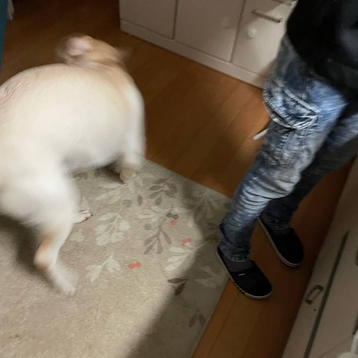 2eb233c9 b3e9 4105 bf2a 07d3e9ea1e47 1640421278071