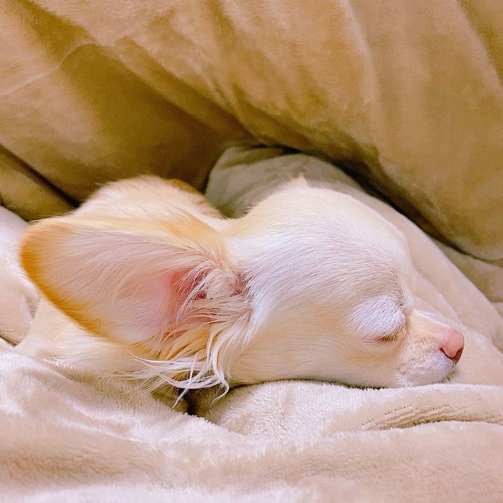 2eb27d15 feb5 47d1 b9fe d264affd7682 1613099836421