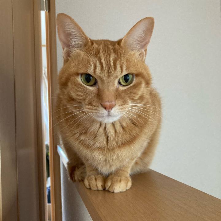 2eb28264 62df 4976 b5c2 2a770bf7b330 1753078239071