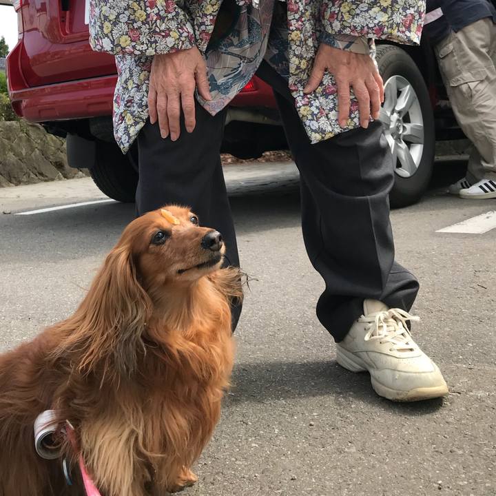 2eb29873 0865 407f 8271 edb7bbc7fcf9 1526993304420