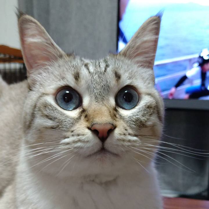 2eb2bf83 db33 4d11 92fd 6759c372dc5c 1660994214893