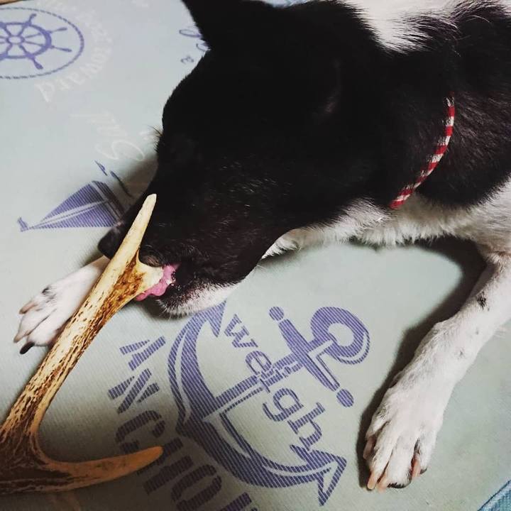 2eb2c0cc 72cb 43a1 9c1b a479e06f51de 1536667923593