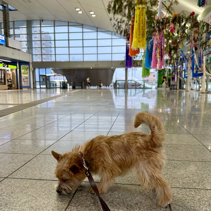 2eb2d40e 835a 49c6 99ca 3dcb96b62733 1719932870943