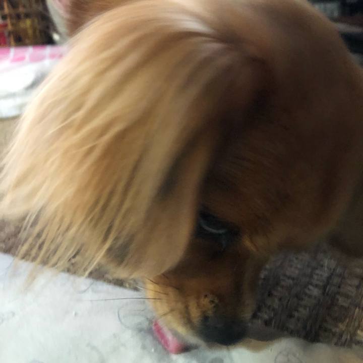 2eb2ef4f 123e 4bc9 85ad d99b21752b71 1539642133693