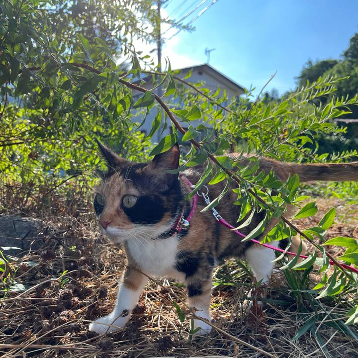 2eb30c92 e7fc 4a9a 850c 2fe49df5a1d0 1692227876130