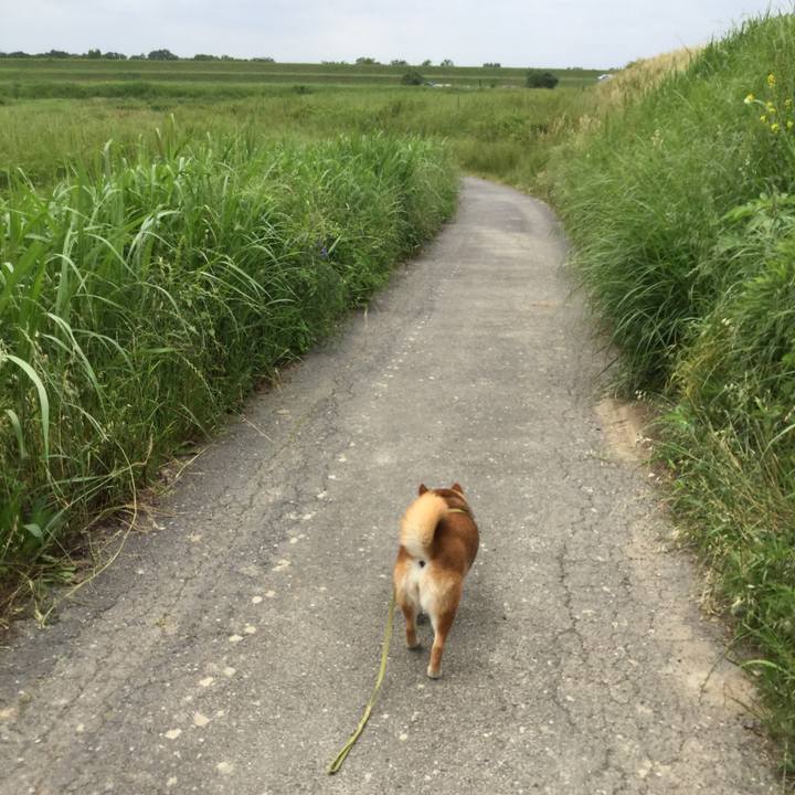 2eb32b29 9c7e 4421 b7f3 168f460a70d6 1590483787455