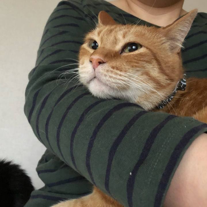 2eb346c7 4700 485a b6f5 6cafe714e8a5 1588107281309