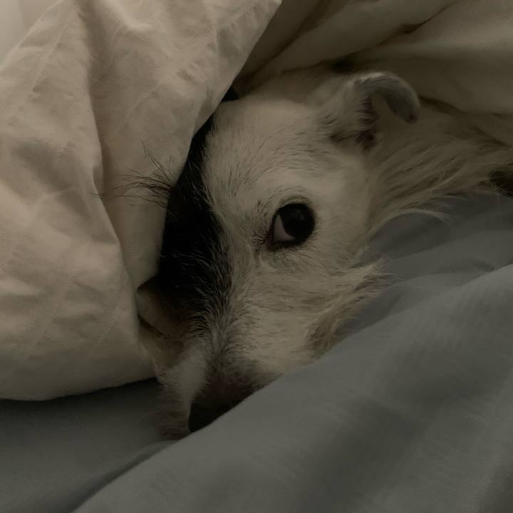 2eb37037 2d4b 460f 95c0 06b32c78078a 1695305329635