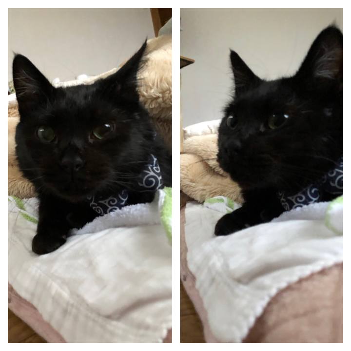 2eb375c8 fc2b 4386 a2b6 ba9a8ce02a71 1559680477411