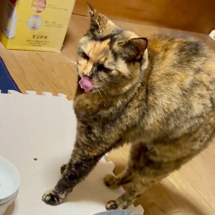 2eb3a7dc 6508 42d5 8261 0aad5cfe562d 1765450476718