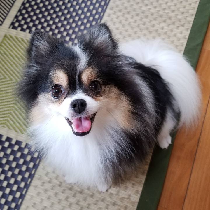 2eb3b577 27d4 4e8a becc bfdc57a53923 1534028627256