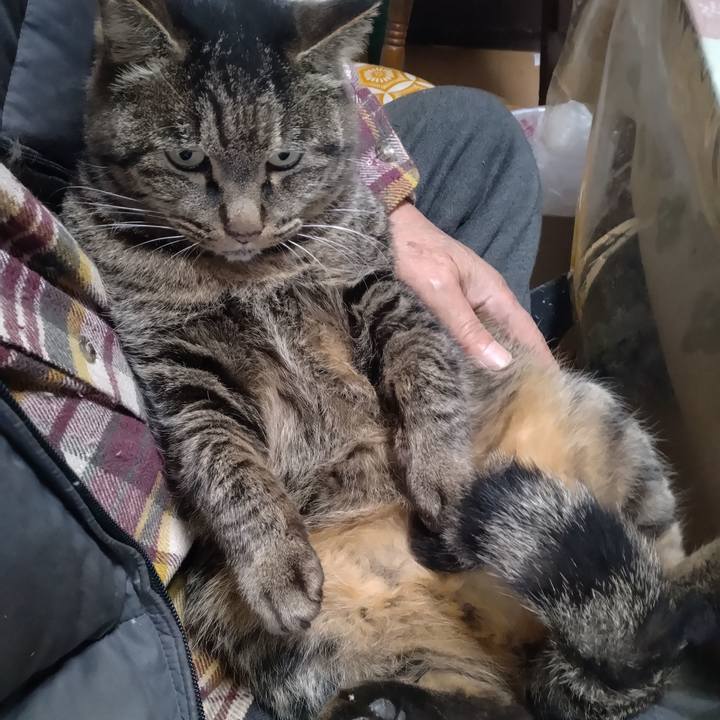 2eb3f2d3 4570 4e9c 9189 a2bb0c119475 1704617732047