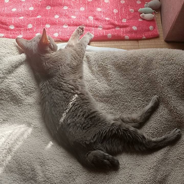 2eb4098f e709 4f1c 80b6 a11da9f7d8a7 1699496986029