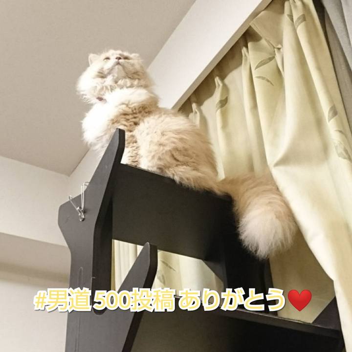 2eb42623 ce6b 4f7a 9e56 06388b0c819c 1556660760560