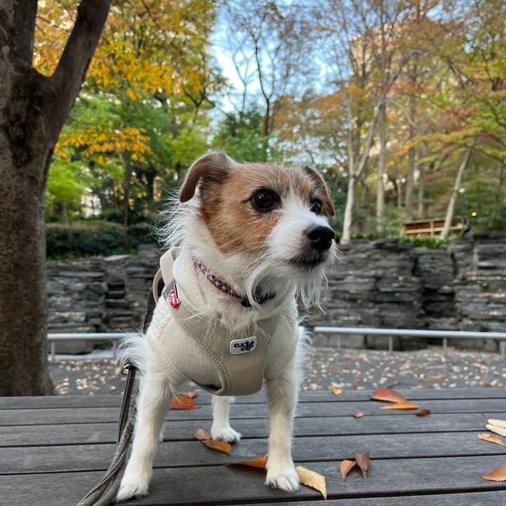 2eb4380e 019b 4349 8efc ad67befe8944 1730952412149