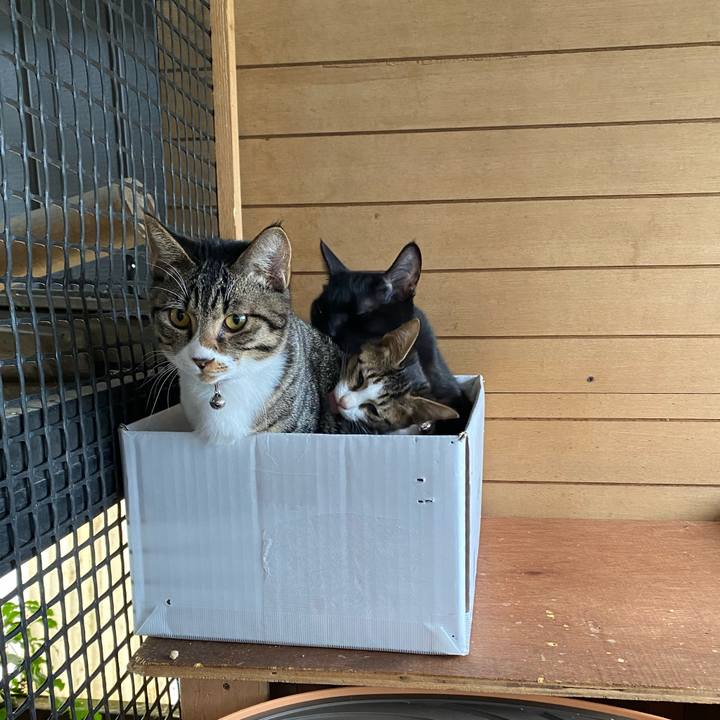 2eb45eb9 5018 40d3 8965 17662c97501f 1634779722471