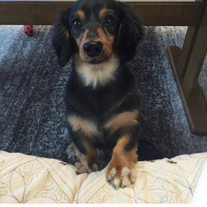 2eb47072 93d6 4fba ba90 1e8fb94aac47 1628258285025