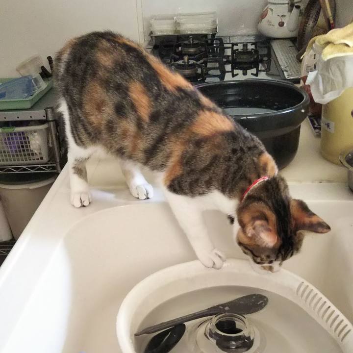 2eb47bd1 1436 4376 999a 327ed0f51c14 1637664416854