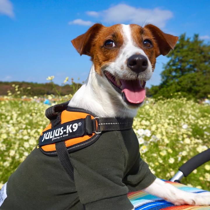 2eb4edf4 f671 440e 96ee a9dbedea95e9 1540704346687