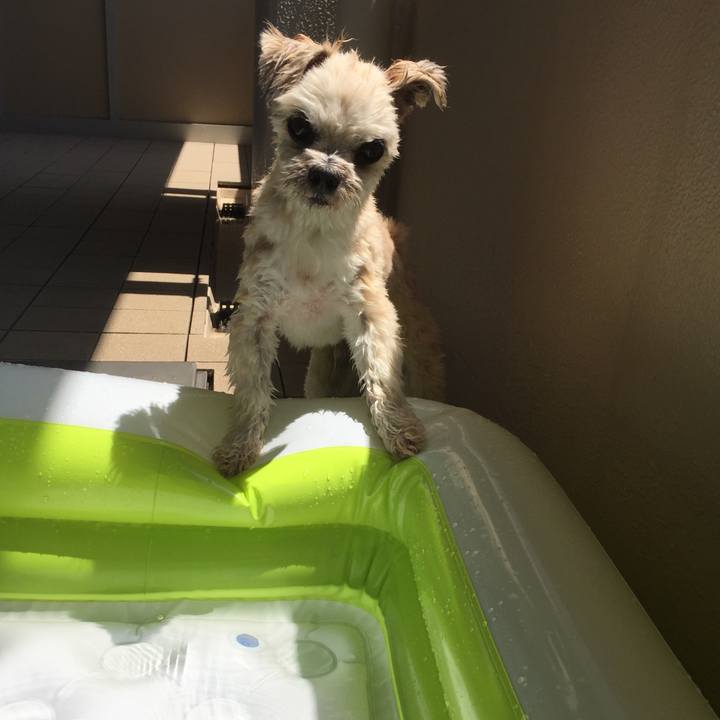 2eb508fc ffaf 4d41 845b e8e7de8ec973 1565231240556