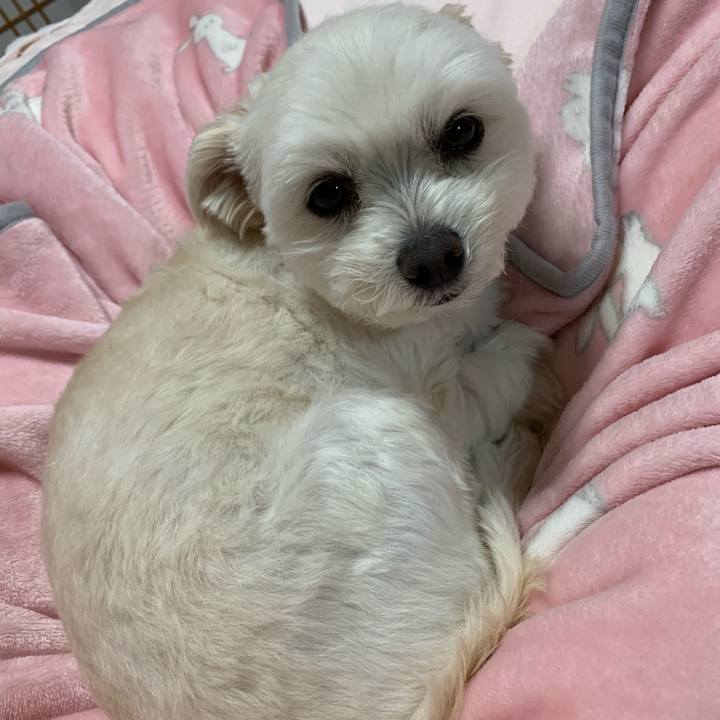 2eb5634b a63b 4daa 834b 066c13c88387 1585045530909