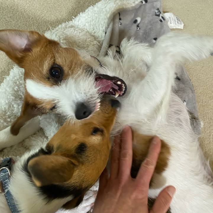 2eb5657d 3a8c 4191 86ce eaad0d671fab 1746960311658